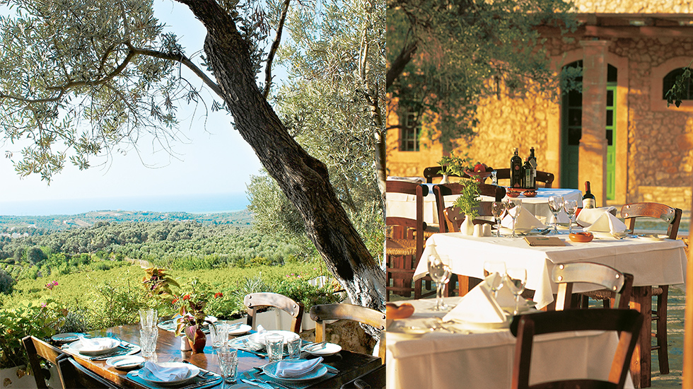 Agreco Farms article image